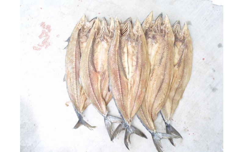 湯腌鲅魚